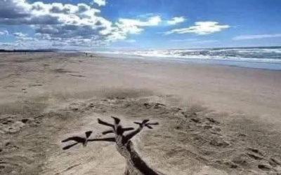 Lunes soleado