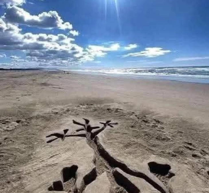 Blog 9 Lunes soleado